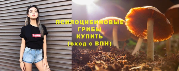 экстази Алексин
